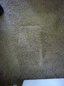 All Fixed Til Next Time