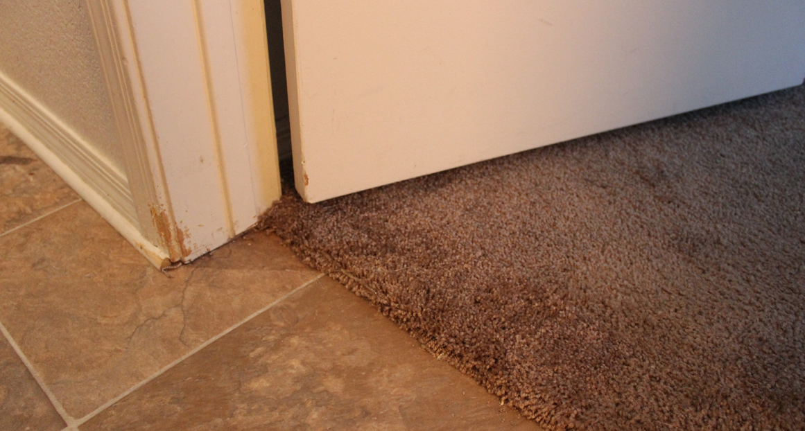 Indianapolis Carpet Repair